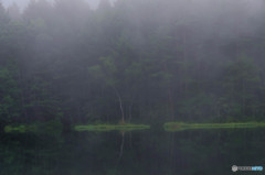 朝霧