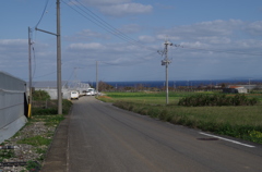 伊江島　ハイビスカス園