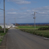 伊江島　ハイビスカス園