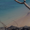 海