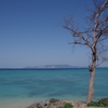 海