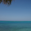 海