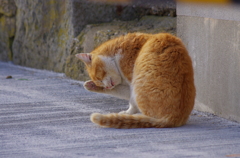 明日は雨かな？曇りかな？