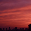 東京湾の夕焼け空