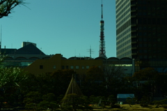 芝離宮庭園からの東京タワー