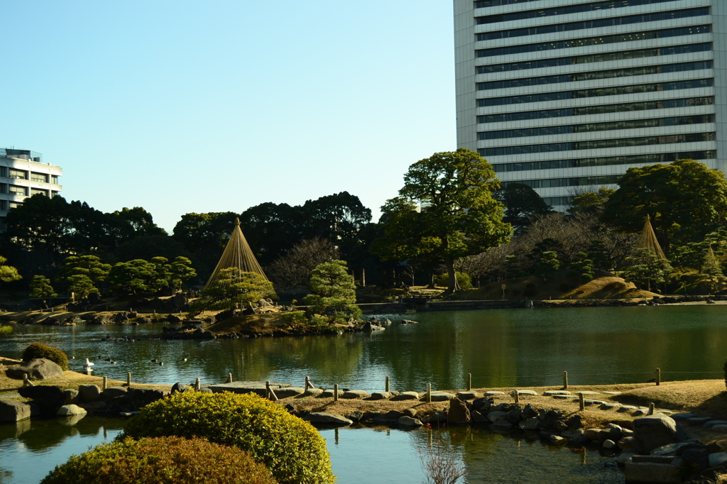 芝離宮庭園