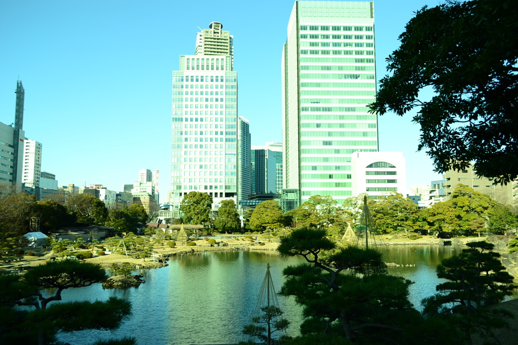 芝離宮庭園と汐留ビルディング