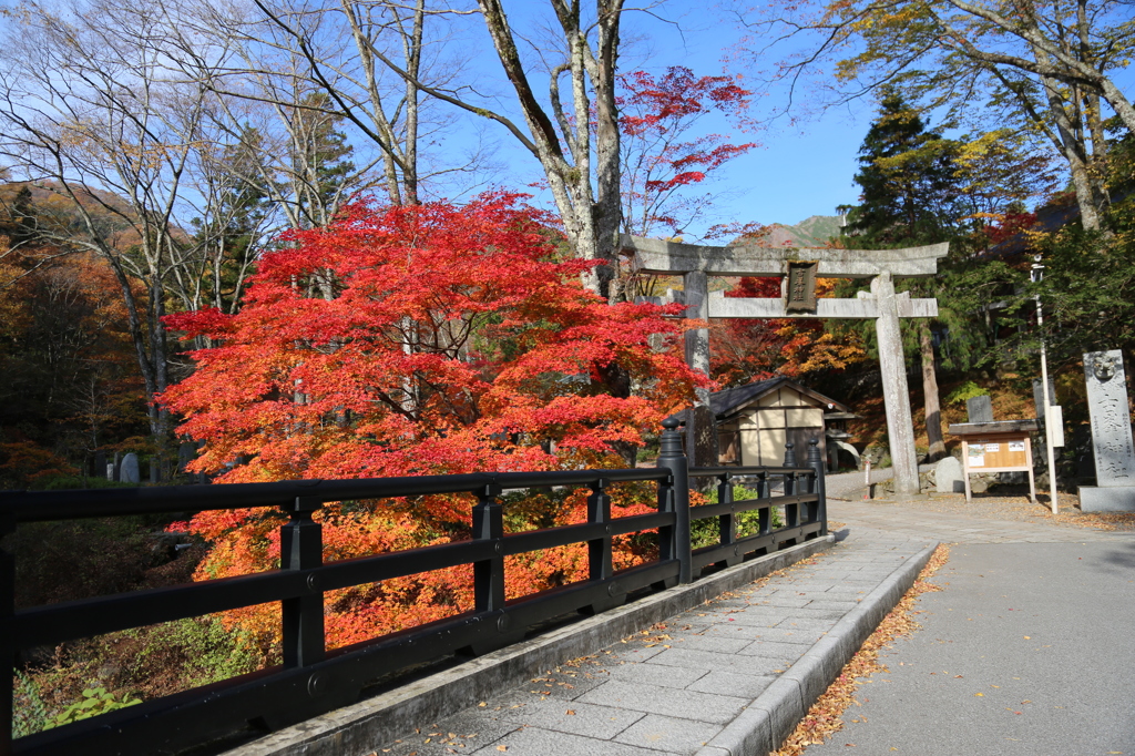 秋を探して2014@古峯神社_01