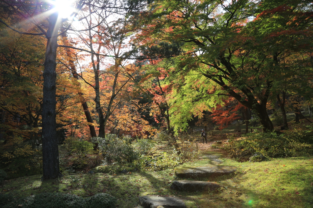 秋を探して2014@古峯神社_07