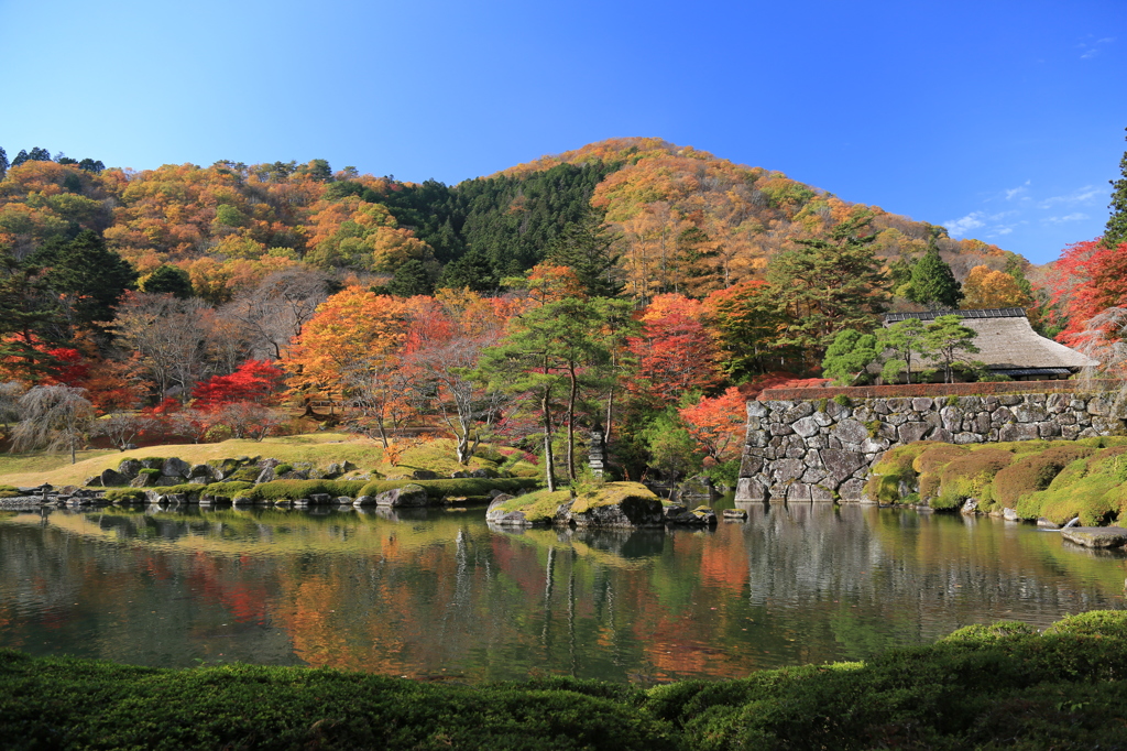 秋を探して2014@古峯神社_03