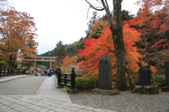 秋を探して2014@古峯神社_27