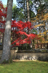 秋を探して2014@古峯神社_19