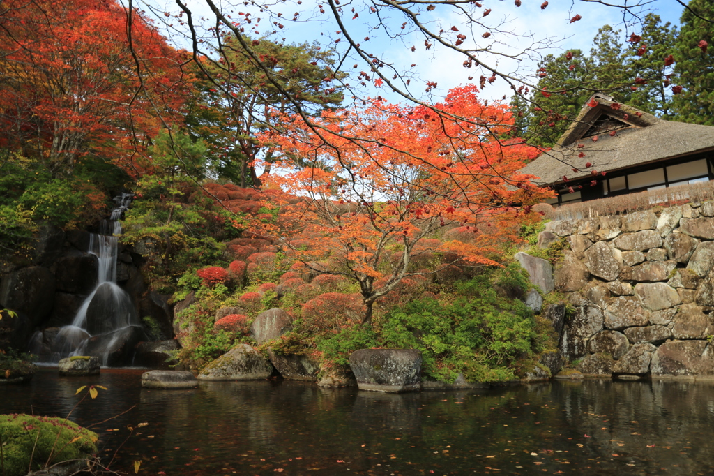 秋を探して2014@古峯神社_13