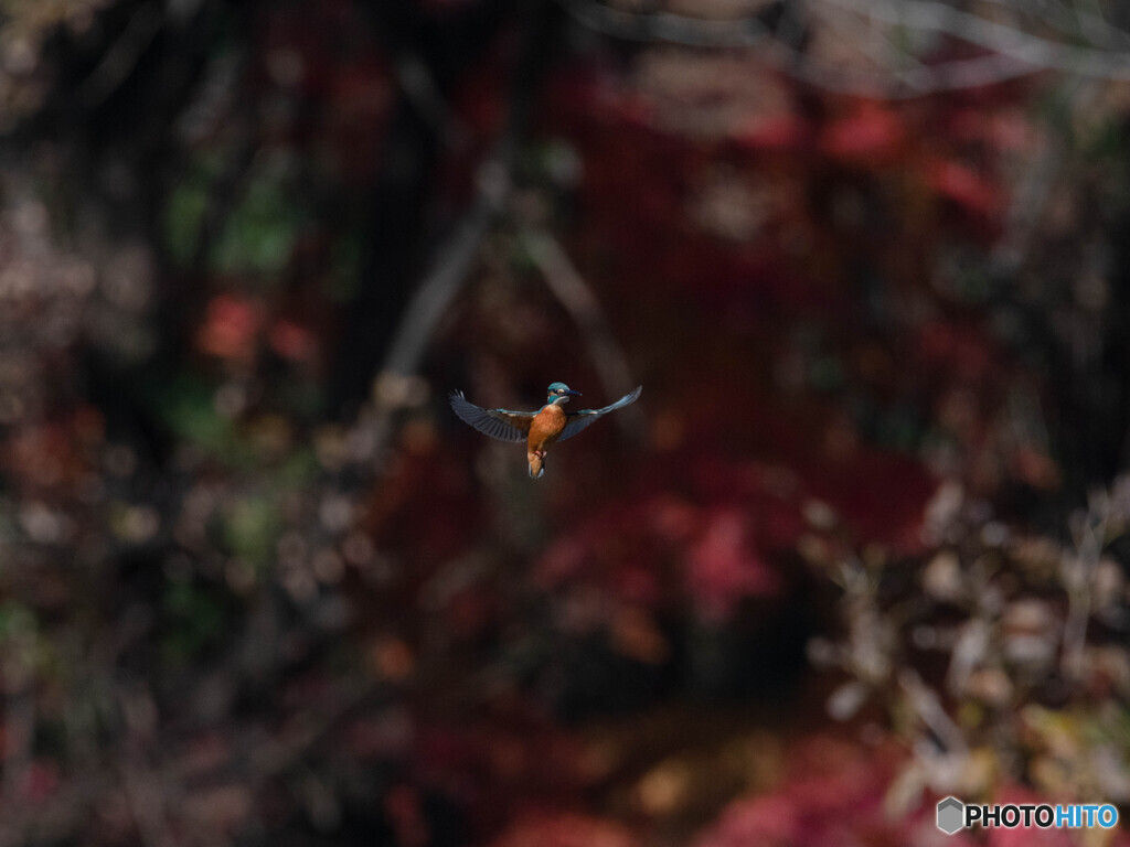 ホバリング中