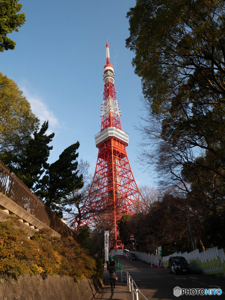 朝陽に照らされて