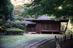 和の風情