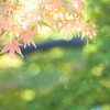 淡く