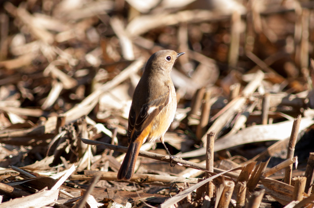 綺麗に撮ってよネ～