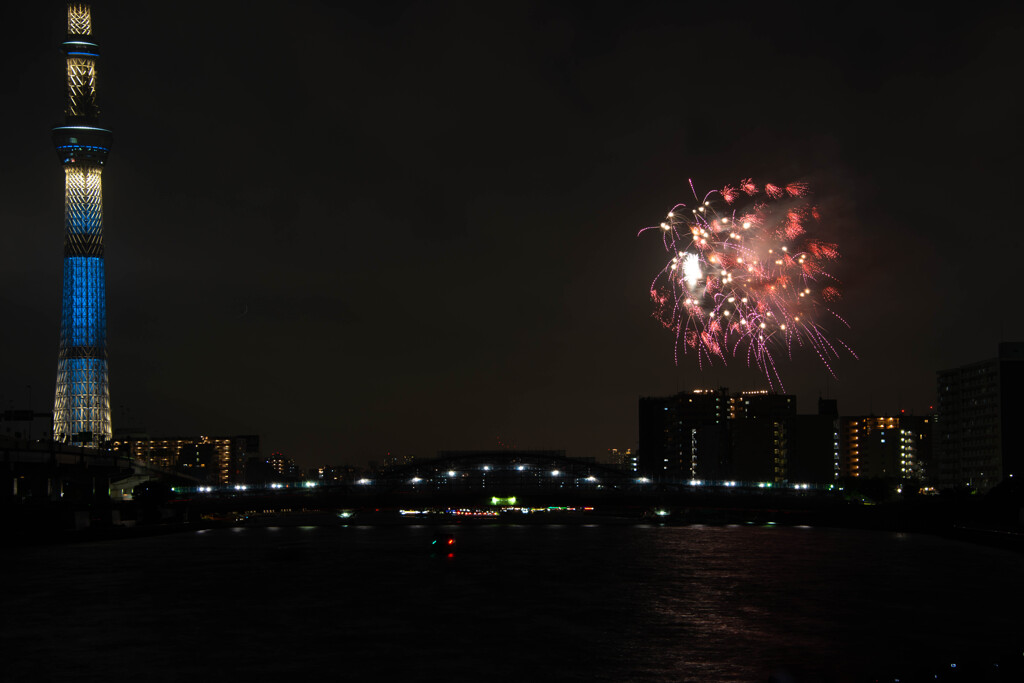夜空の花