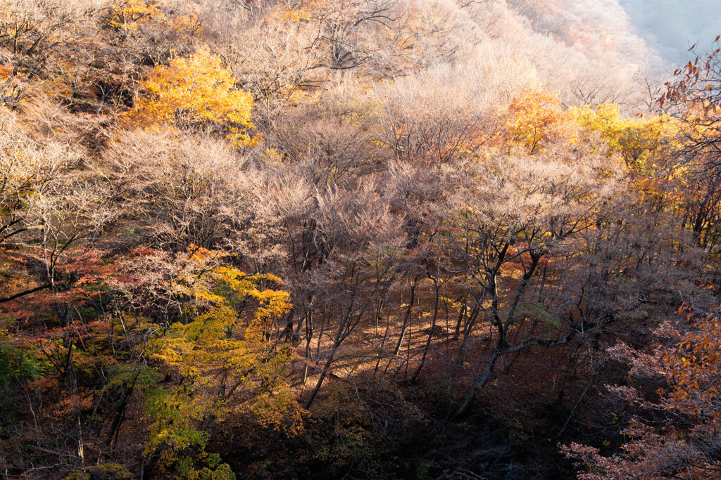 日差しが山肌に