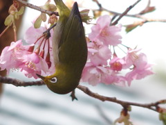 美味しい～