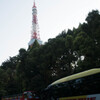 久しぶりの東京タワー