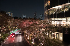 六本木ミッドタウン