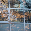学び舎
