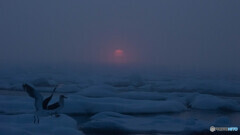 オホーツクの海に昇る朝陽