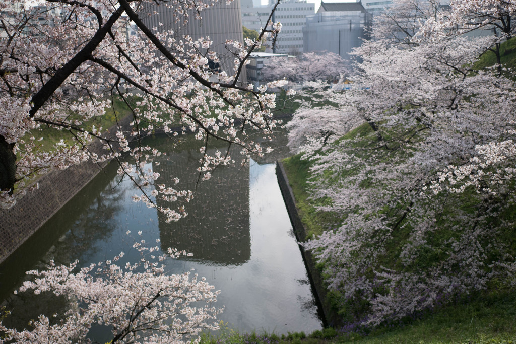 朝靄のような