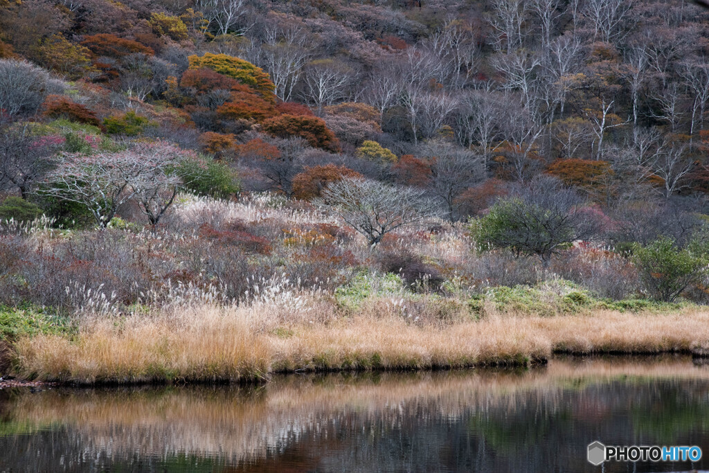 晩秋