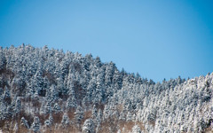 雪山