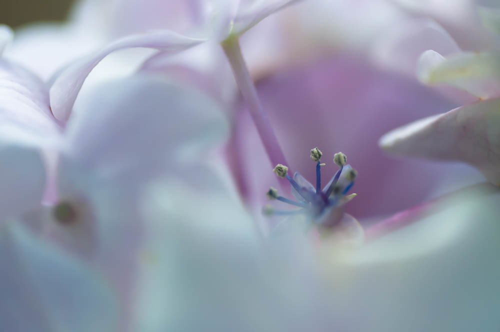 その時