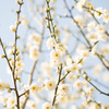 春の陽気