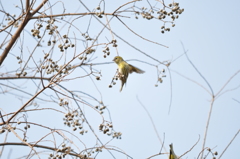 オットット！DSC_0475