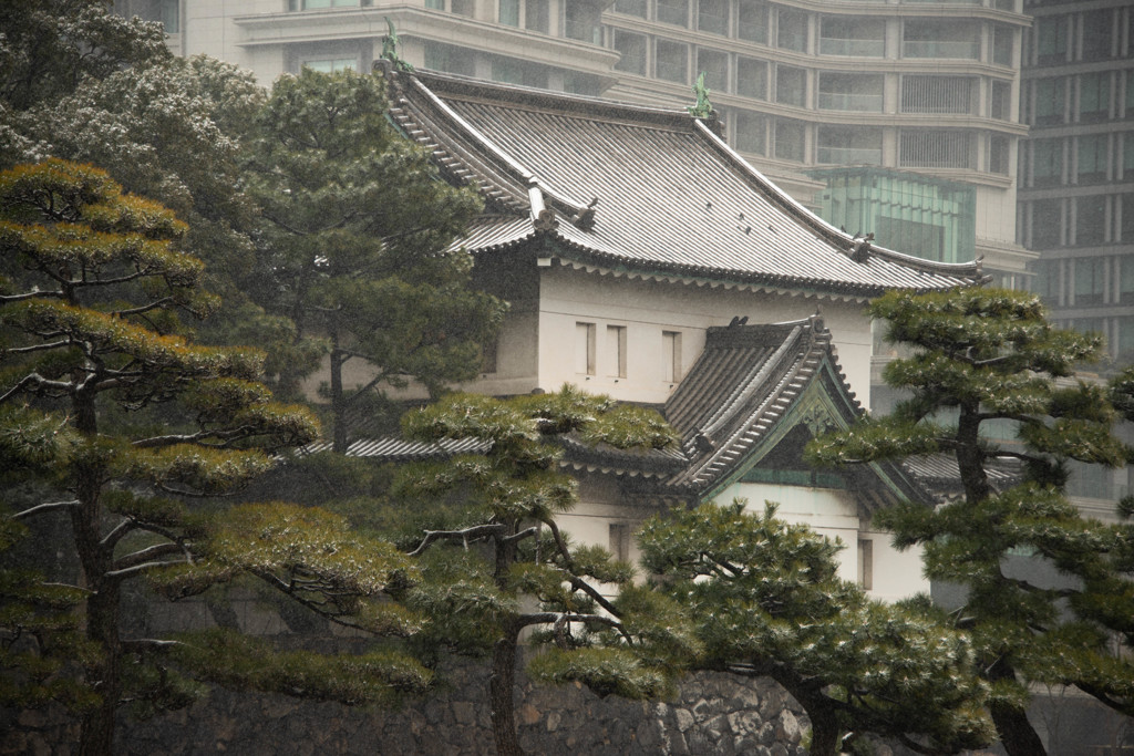 雪化粧