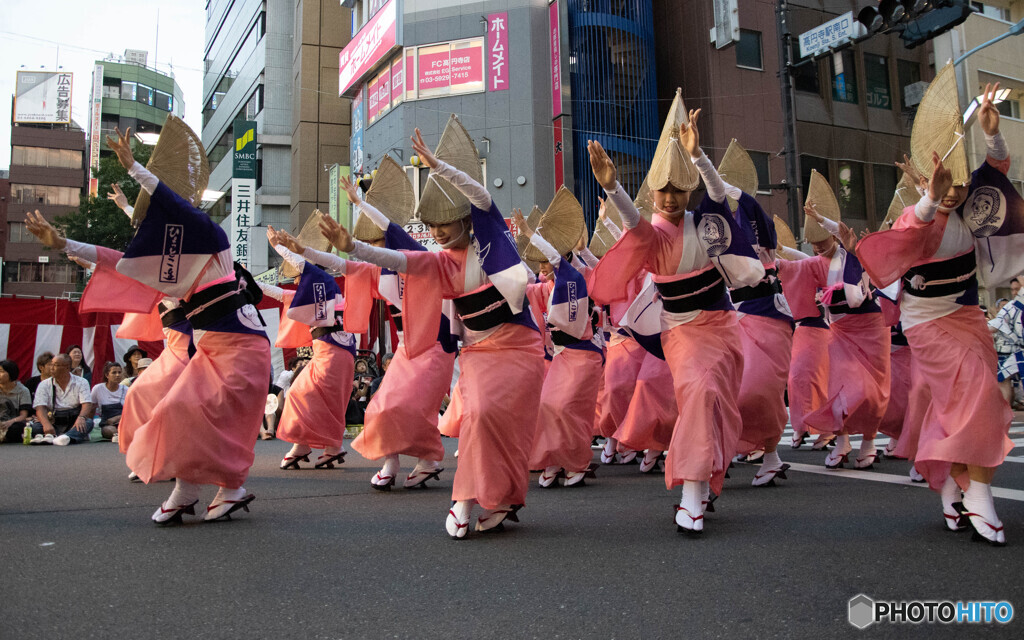 ポーズを決めて　2019年