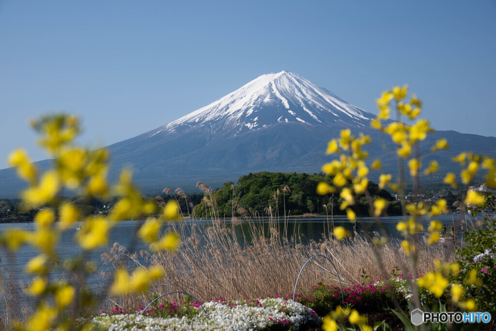 冠雪した富士山を眺めつつ