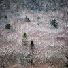 赤城山