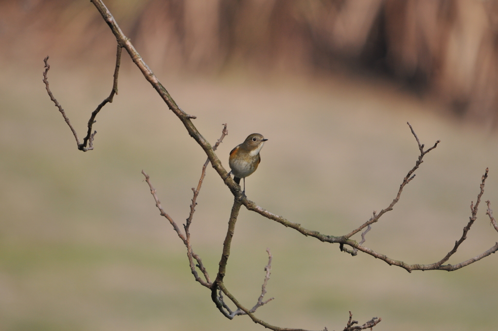 エッ！何？　DSC_0003