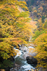 清流