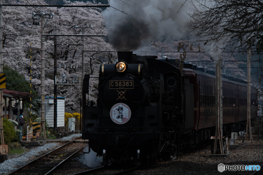 桜並木を駆け抜けて