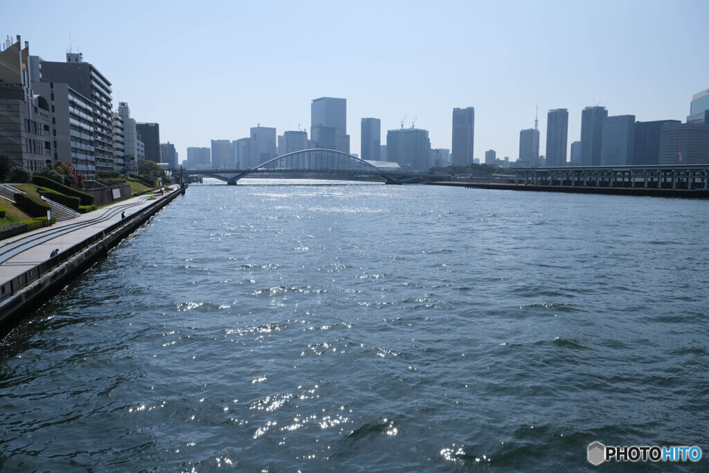 煌く水面