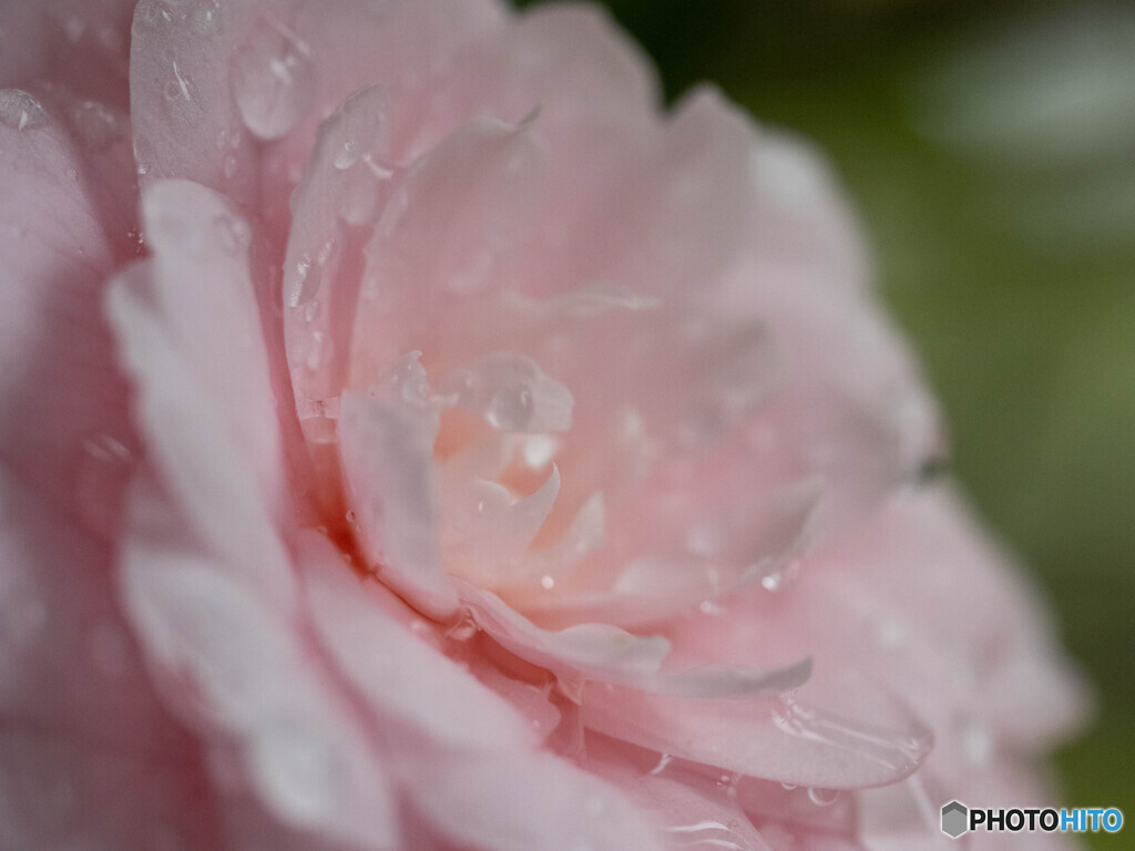 雨上がり