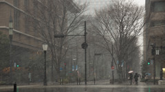 丸の内に舞う雪