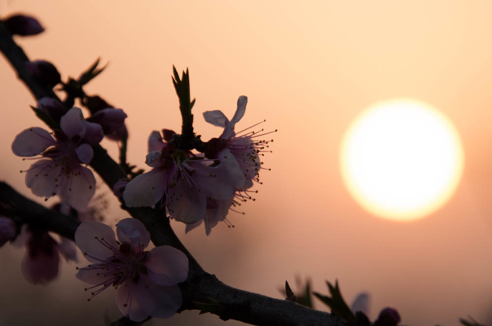 夕暮れ時