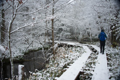雪