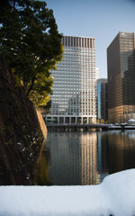 お堀が望める風景