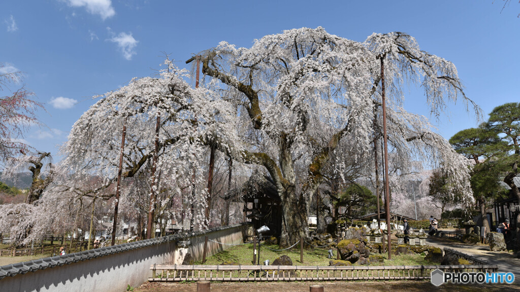 気持ちの良い青空に