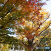 日比谷公園